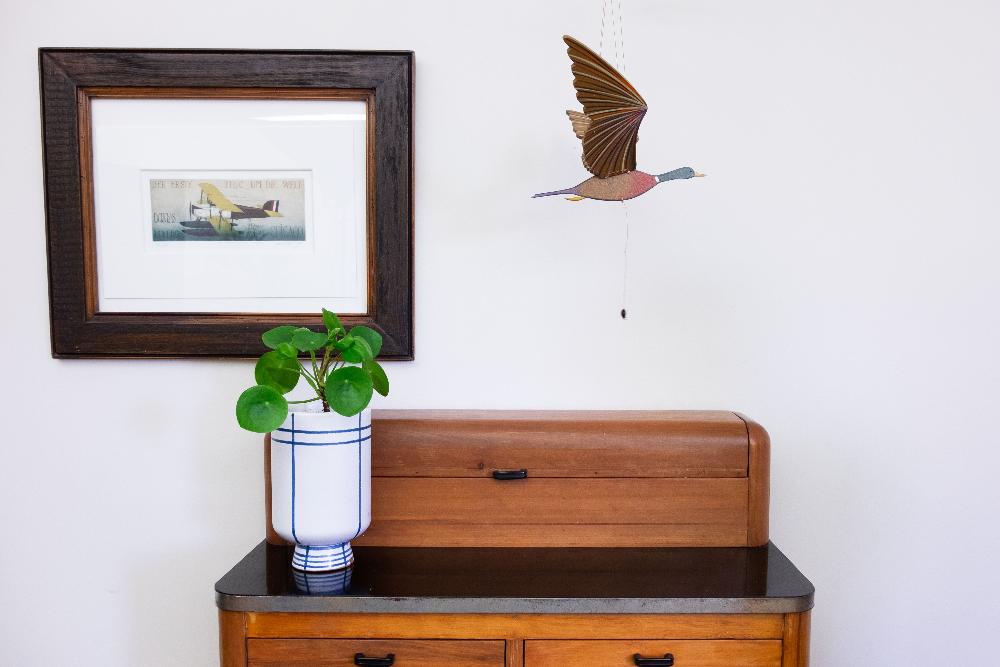 Duck Mallard Bird Flying Mobile