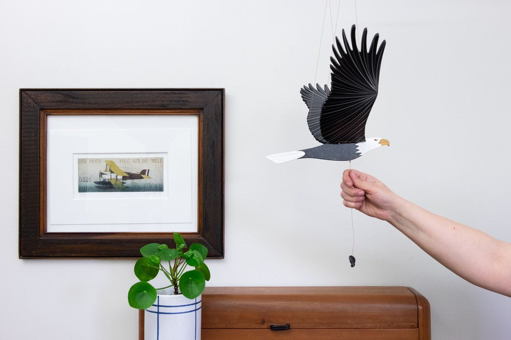 American Bald Eagle Flying Mobile