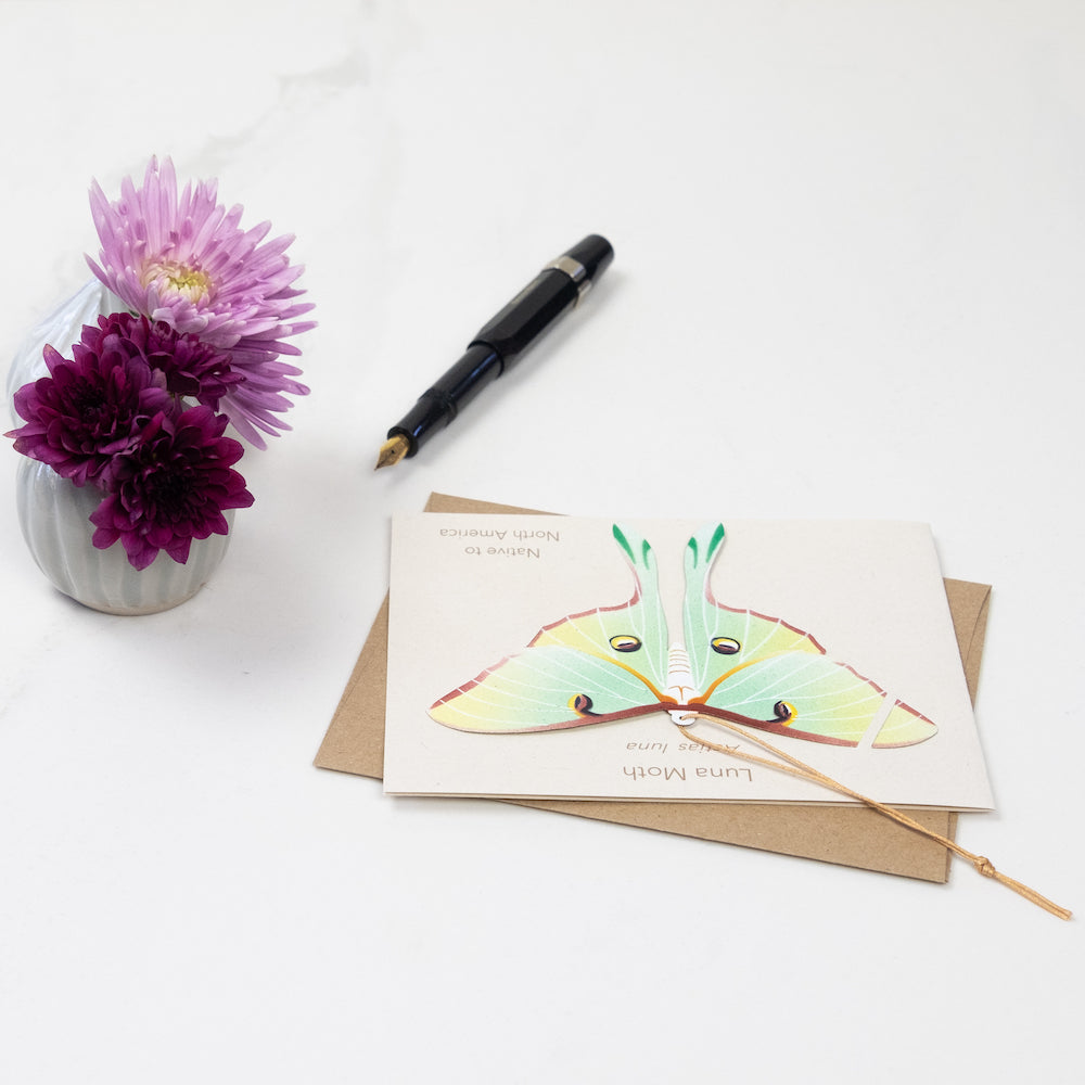 Luna Moth Ornament Notecard