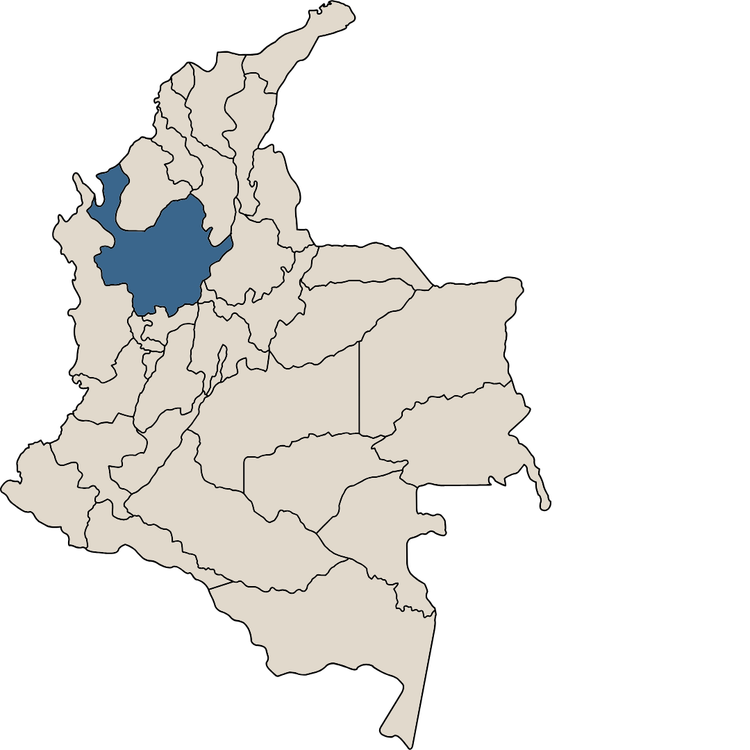 Made in Medellin