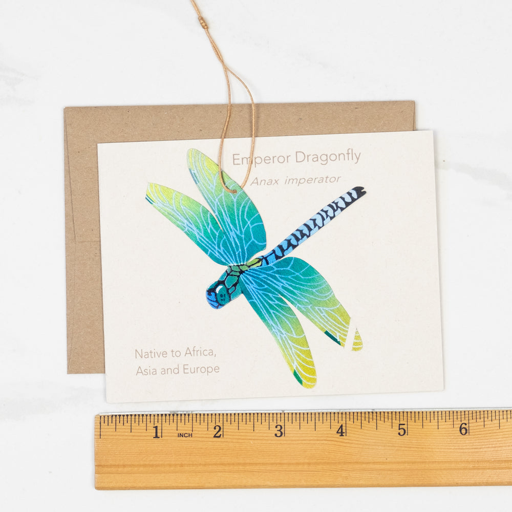 Dragonfly Ornament Notecard