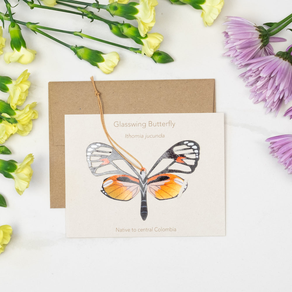 Glass Wing Butterfly Ornament (Ithomia jucunda)