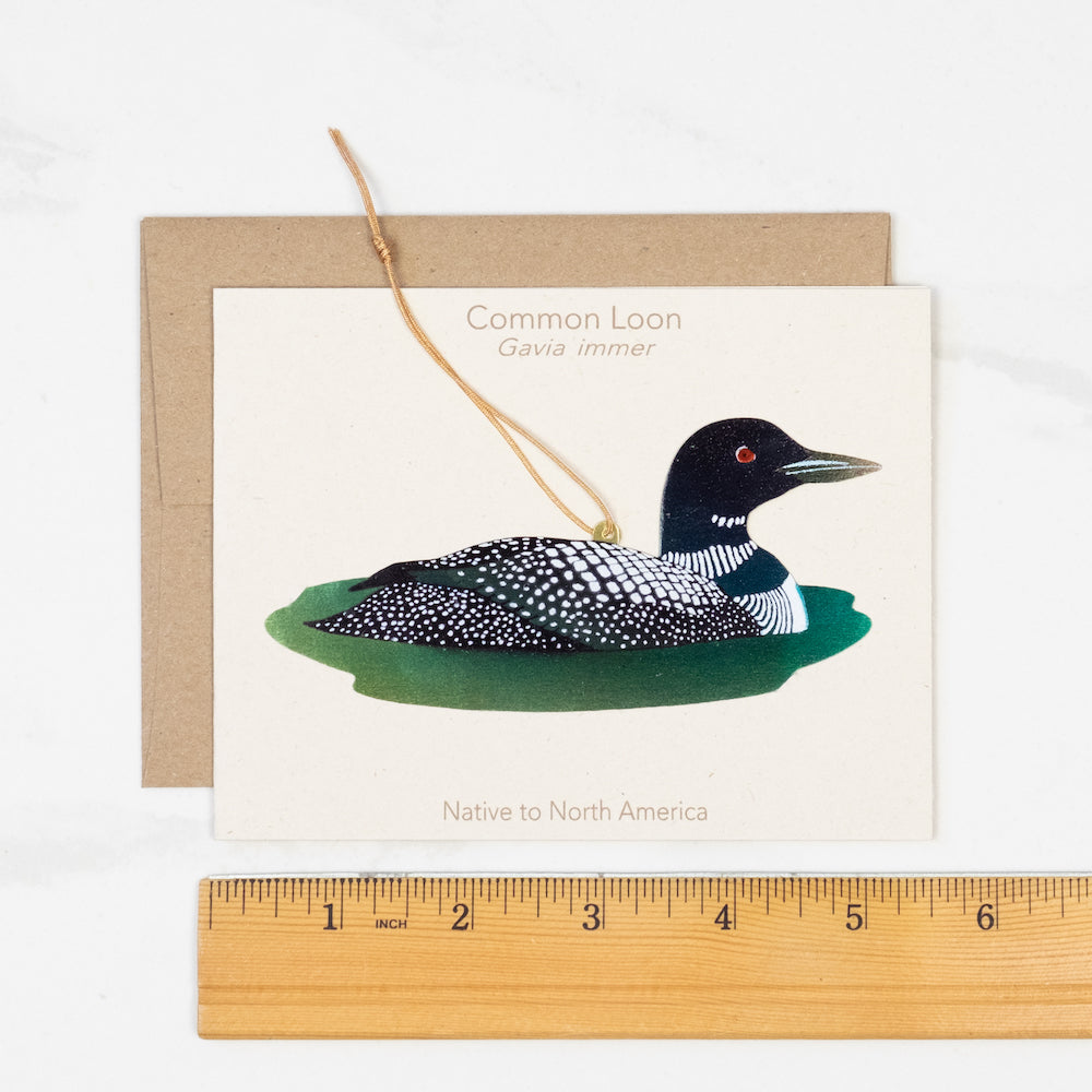 Loon Bronze Ornament with Blank Notecard