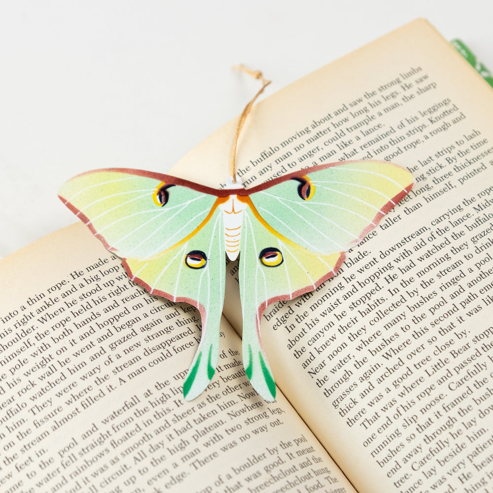 Luna Moth Ornament Notecard