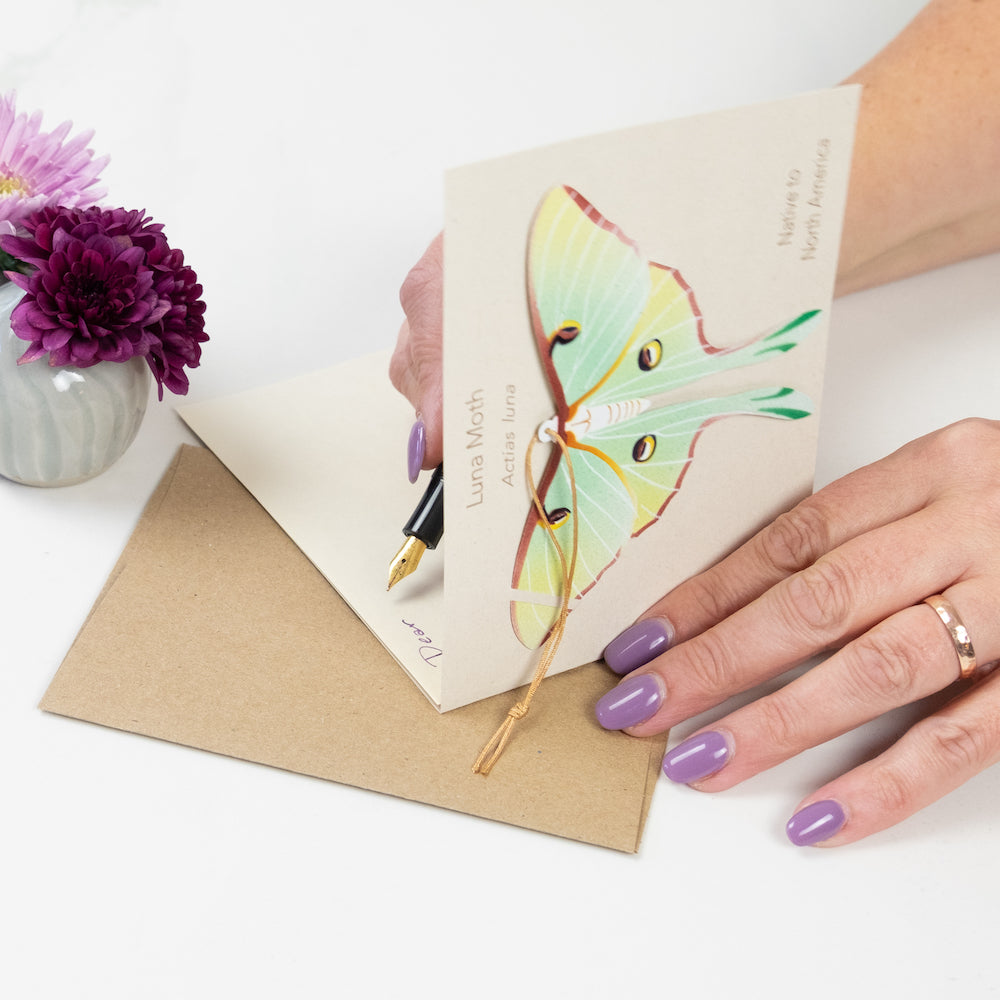 Luna Moth Ornament Notecard