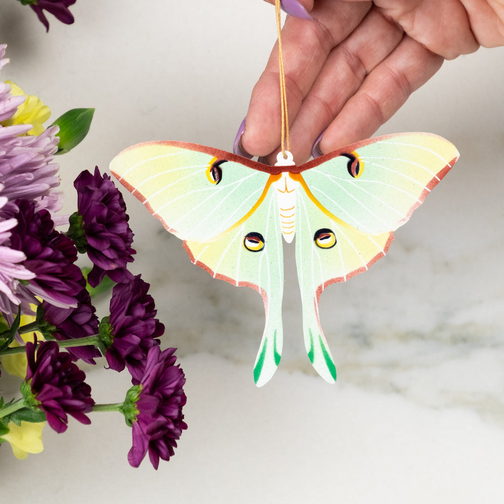 Luna Moth Ornament Notecard