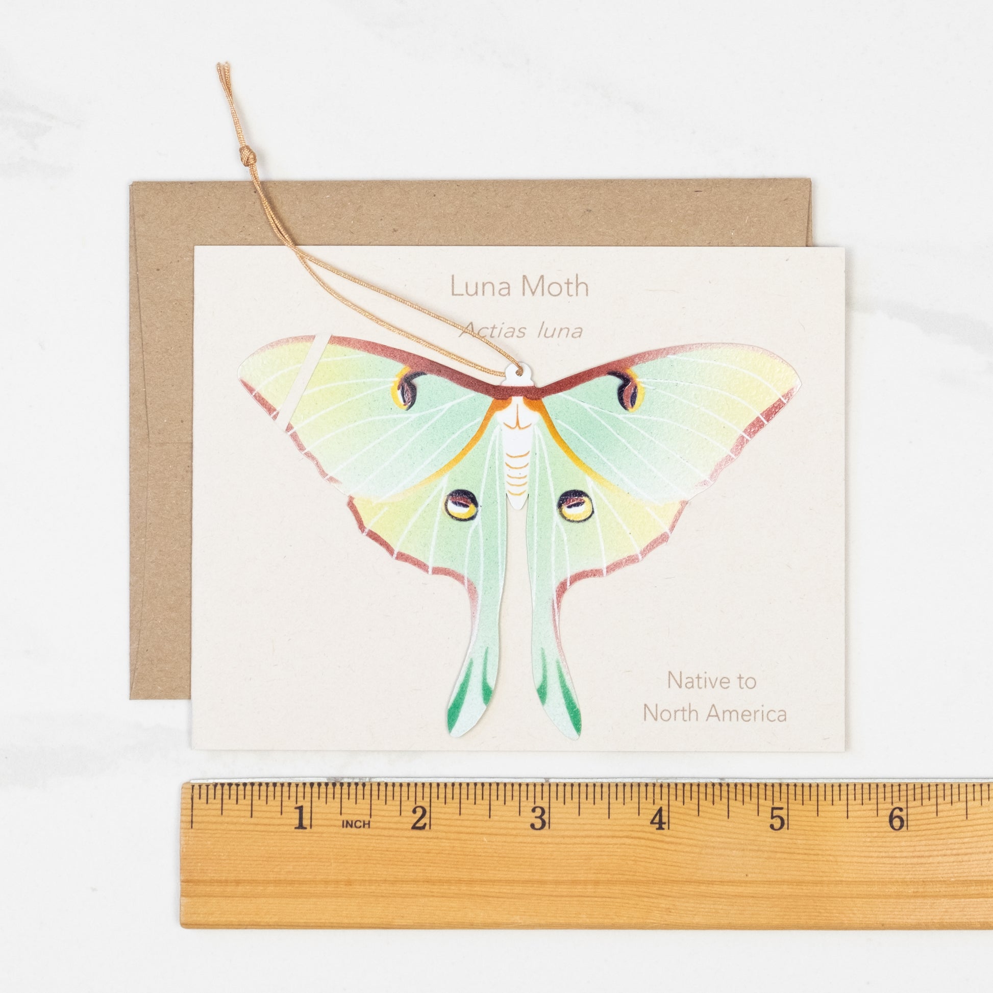 Luna Moth Ornament Notecard