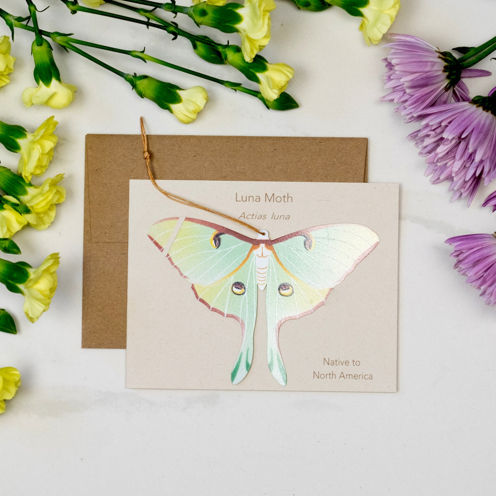 Luna Moth Ornament Notecard