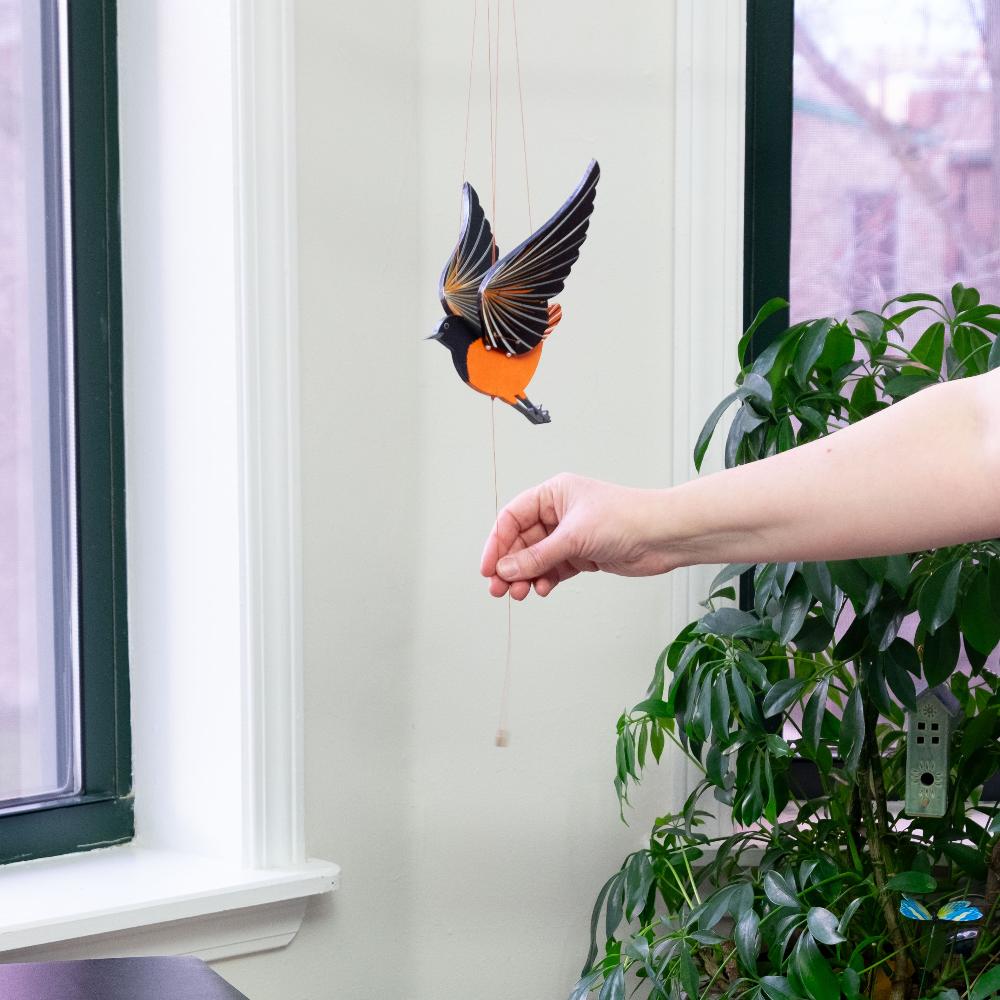 Oriole Bird Flying Mobile