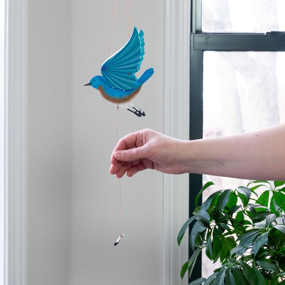 Eastern Bluebird Flying Mobile