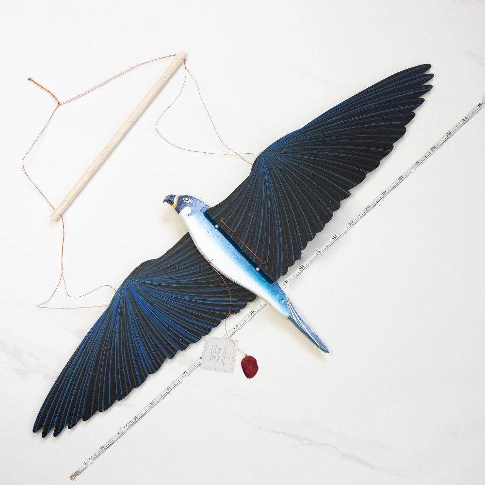 Peregrin Falcon Flying Mobile