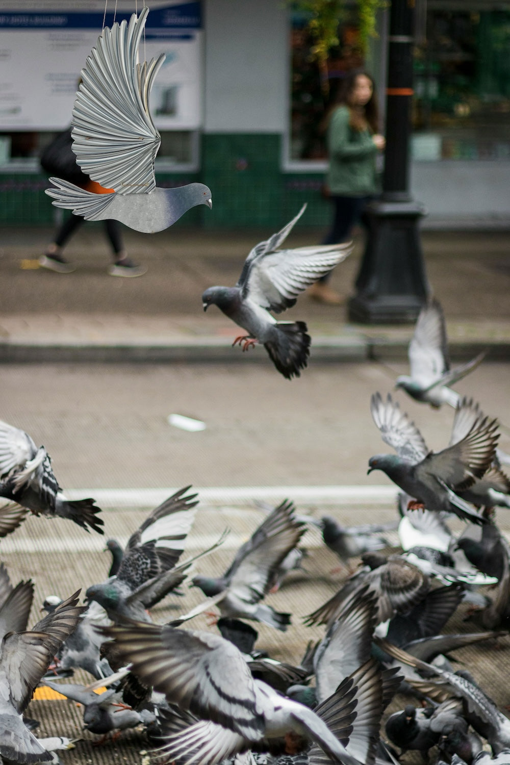 Pigeon Flying Bird Mobile
