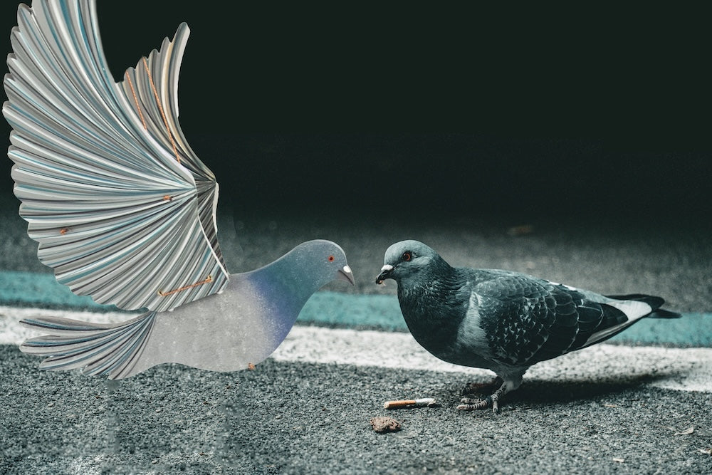 Pigeon Flying Bird Mobile