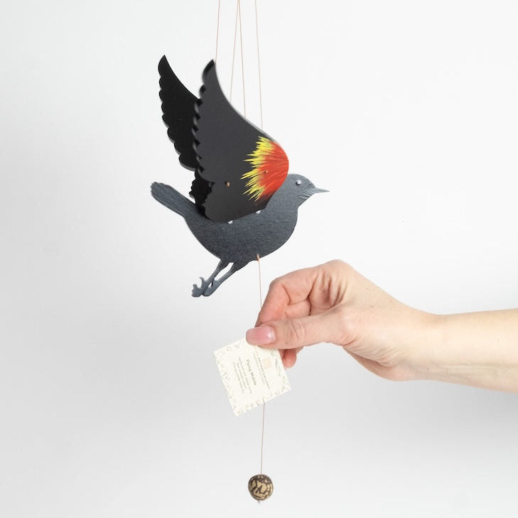 Red-winged Blackbird Flying Mobile