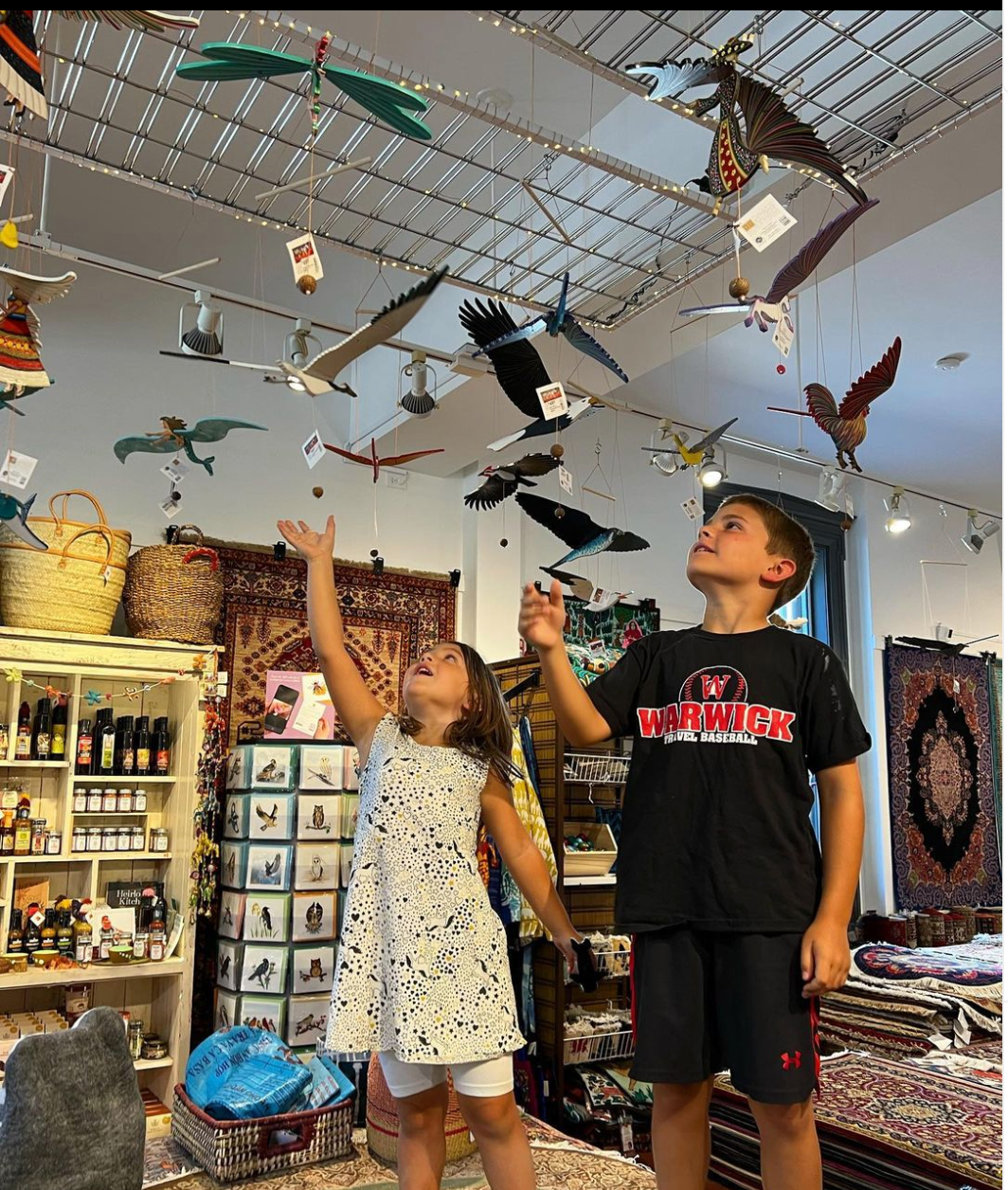 Two children mesmerized by a display of flying mobiles in a gift shop. 