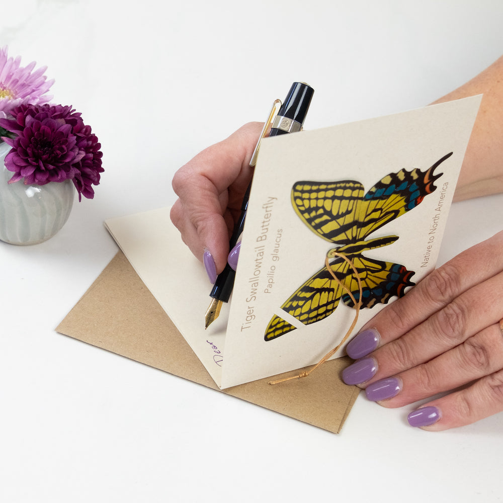 Tiger Swallowtail Butterfly Ornament (Papilio glaucus)