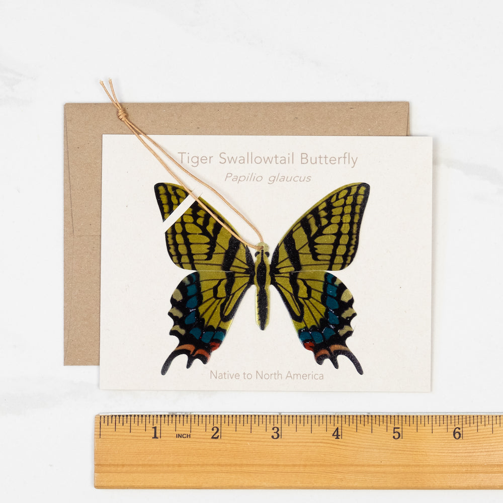 Tiger Swallowtail Butterfly Ornament (Papilio glaucus)