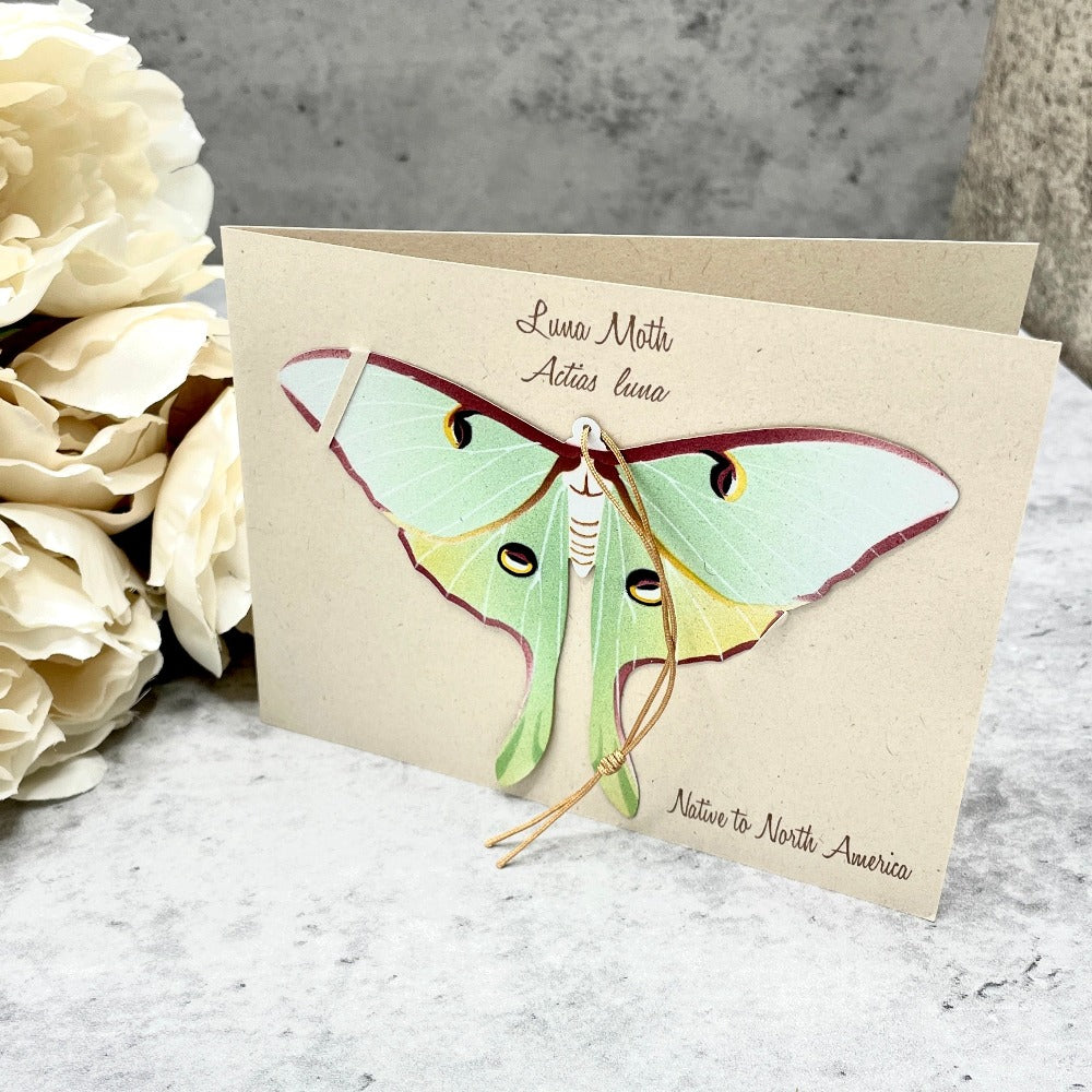 Luna Moth bronze ornament with blank notecard