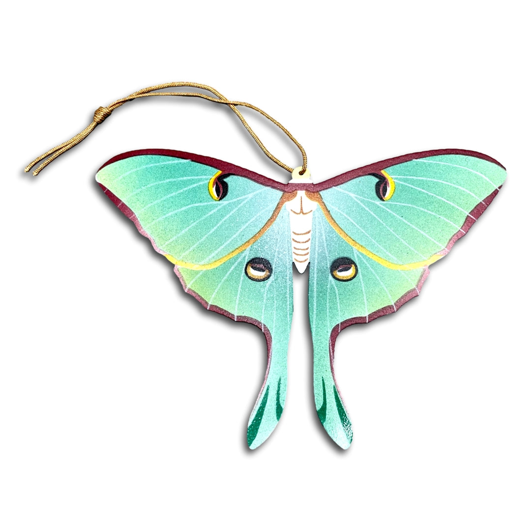 Luna Moth Ornament Notecard
