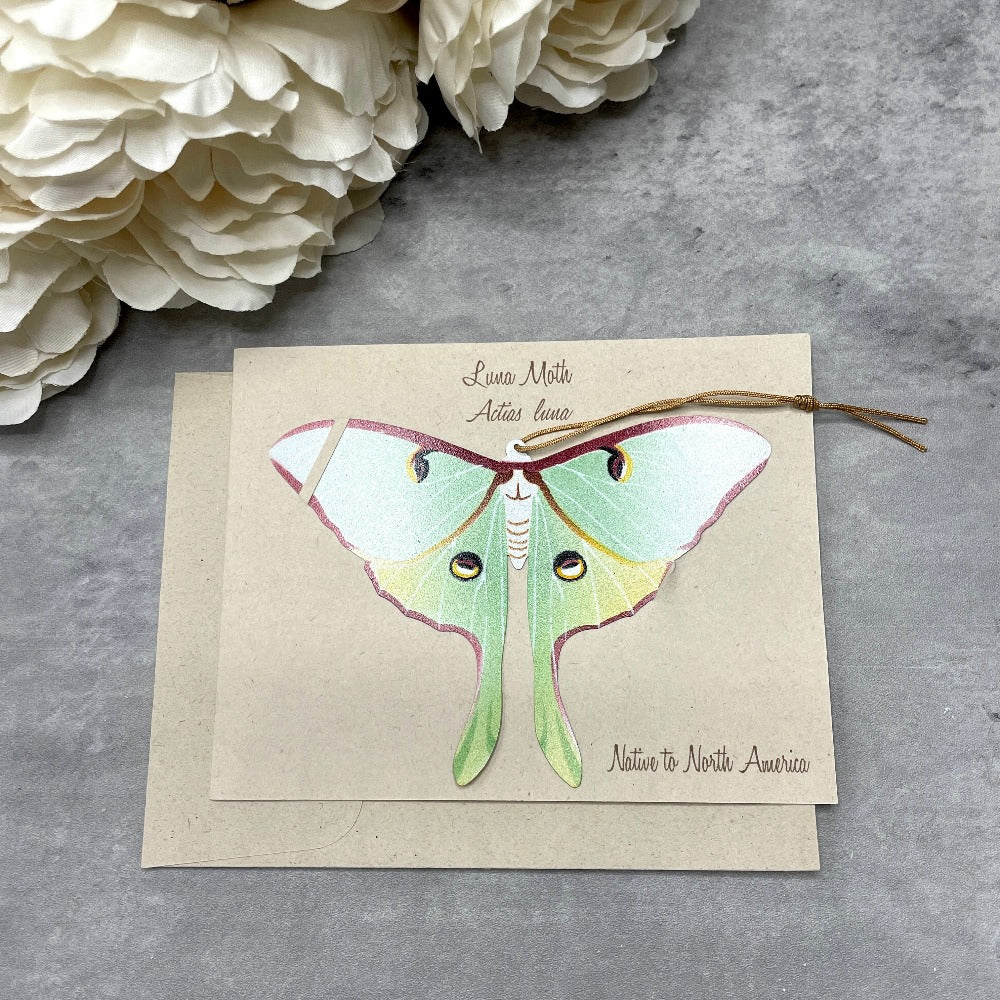Luna Moth Bronze Ornament with blank notecard