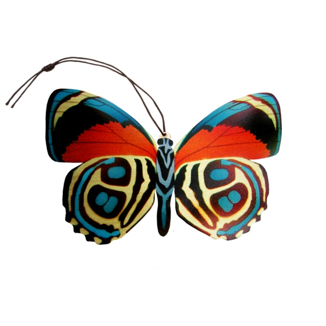 moving butterfly decorations｜TikTok Search